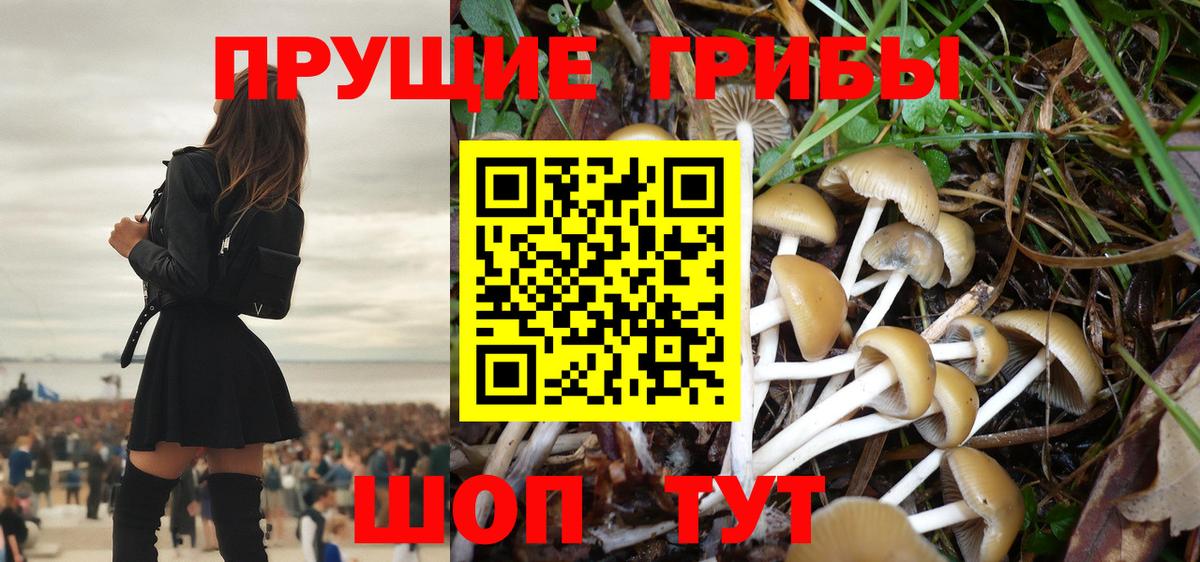 Галлюциногенные грибы прущие грибы Ревда