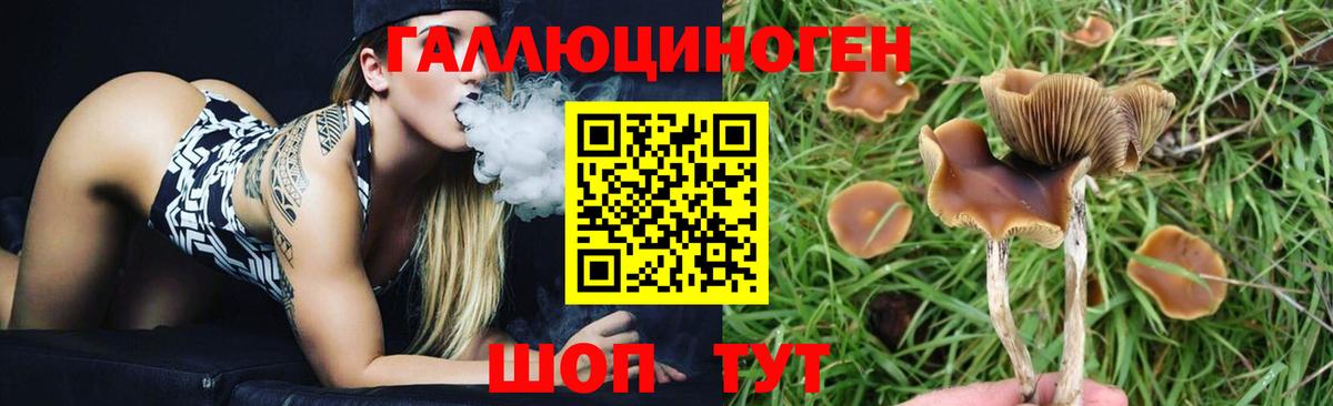 Псилоцибиновые грибы MAGIC MUSHROOMS  Вход с VPN  Ревда 